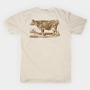 Jersey Cow Vintage Illustration T-Shirt